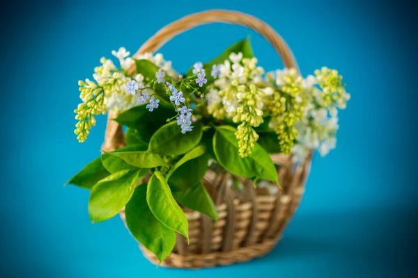 Bouquet Primavera Fioritura Lilla Bianca Sfondo Blu — Foto Stock