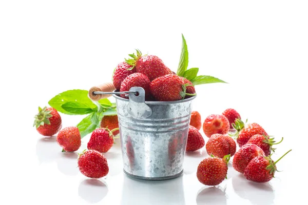 Cosecha Fresas Naturales Maduras Rojas Aisladas Sobre Fondo Blanco —  Fotos de Stock