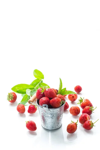 Raccolta Fragole Rosse Mature Naturali Isolate Fondo Bianco — Foto Stock