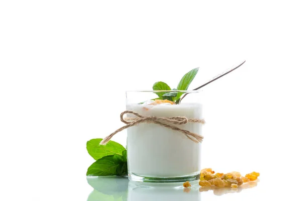 Söt Hemmagjord Yoghurt Med Russin Ett Glas Isolerad Vit Bakgrund — Stockfoto