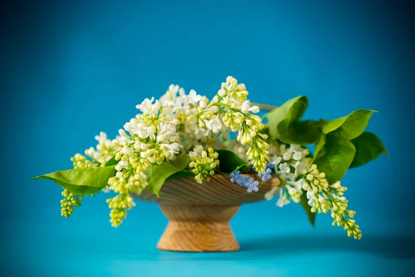 Bouquet Primavera Fioritura Lilla Bianca Sfondo Blu — Foto Stock