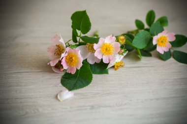 güzel pembe küçük güller bir dalda, ahşap bir masada.