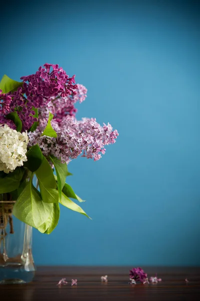 Strauß Verschiedener Blühender Frühlingsflieder Einer Vase Isoliert Auf Blauem Hintergrund — Stockfoto