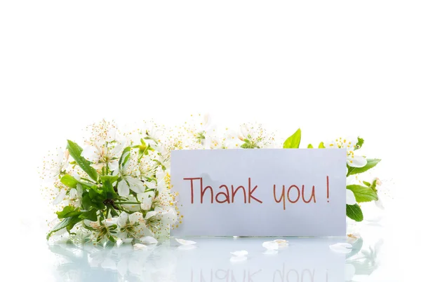 Thank You Card Blooming Spring Branch Flowers Isolated White Background — Stock Photo, Image