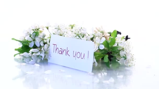 Kartka z podziękowaniami i kwitnąca gałąź wiosny z kwiatami — Wideo stockowe