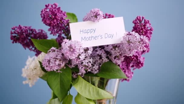 Ramo de diferentes lilas de primavera en flor en un jarrón sobre fondo azul — Vídeos de Stock