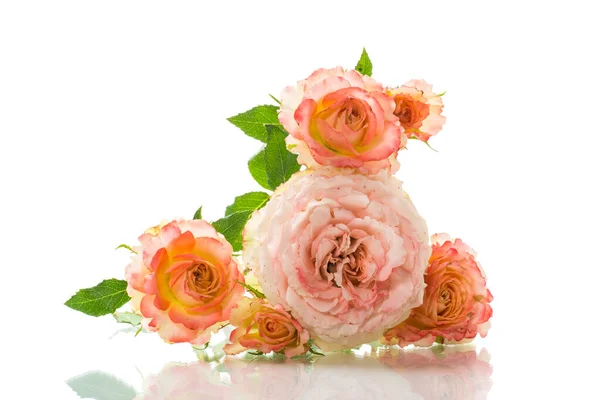 Bouquet Belles Roses Isolées Sur Fond Blanc — Photo