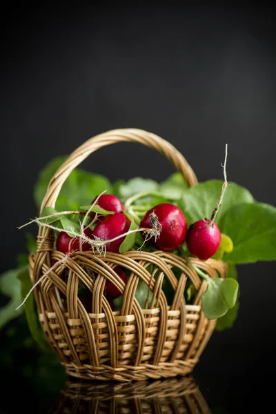 Fresh Natural Organic Ripe Radish Basket Isolated Black Background — Stock Photo, Image