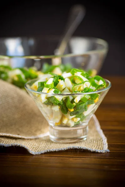 Insalata Fresca Primavera Con Calamari Bolliti Uova Sode Cipolle Verdi — Foto Stock