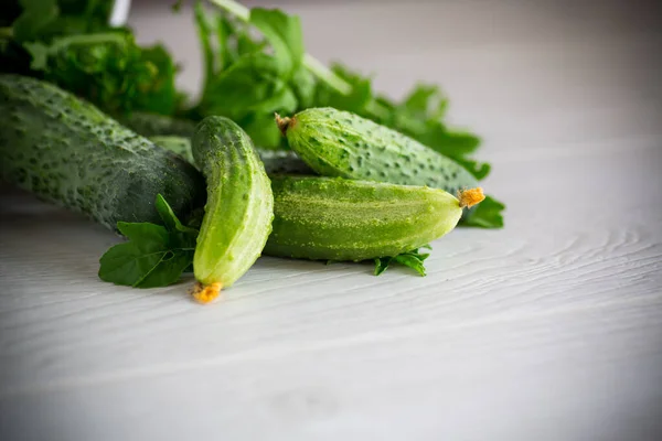 Verse Biologische Komkommers Met Kruiden Een Houten Tafel — Stockfoto