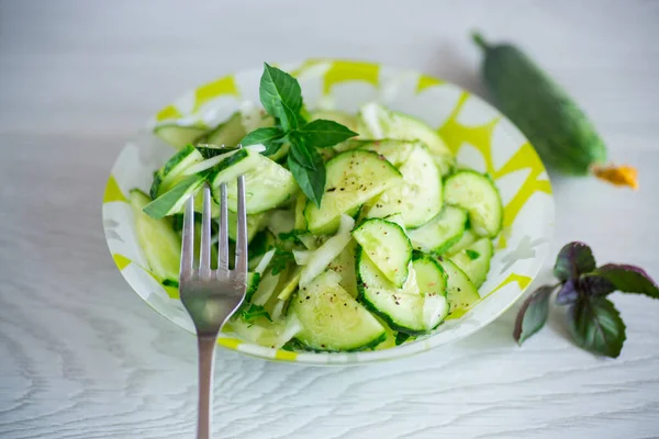 Fresh Organic Cucumber Salad Herbs Basil Plate Table — Stock Photo, Image