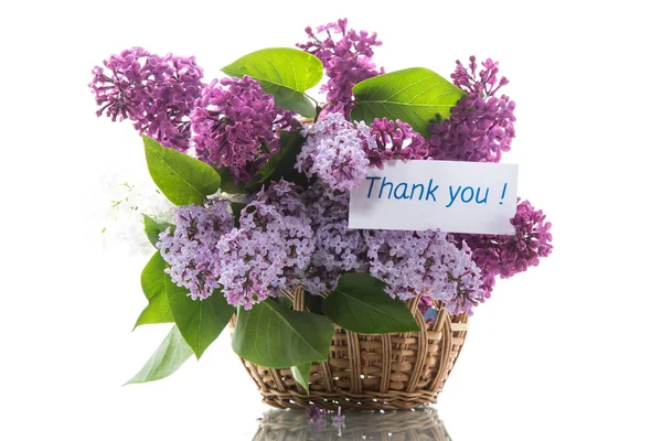 Bouquet of different blooming spring lilacs in basket on white background — Stock Photo, Image