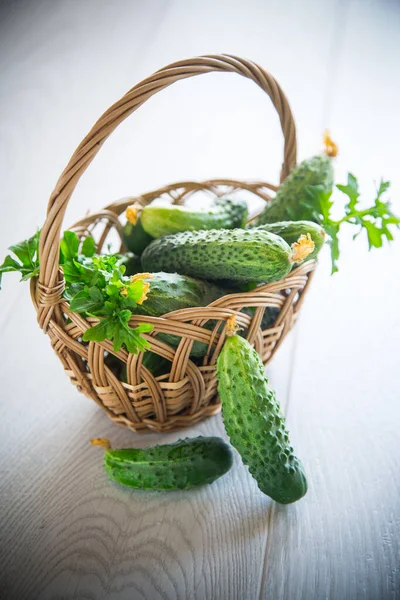 Concombres Biologiques Frais Avec Des Herbes Sur Une Table Bois — Photo