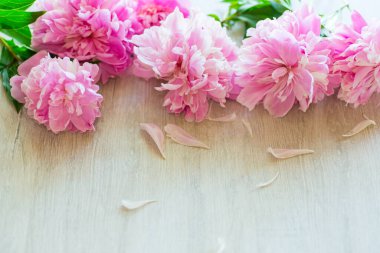 Tahta bir arka planda çiçek açan pembe şakayık dalları.