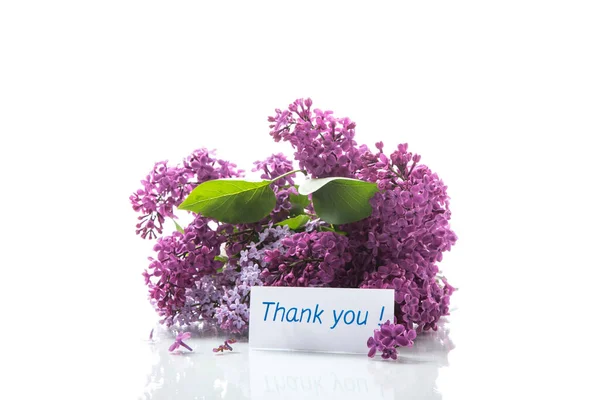 Ramo Diferentes Flores Primavera Lilas Aisladas Sobre Fondo Blanco —  Fotos de Stock