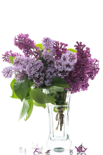 Bouquet Different Blooming Spring Lilacs Vase Isolated White Background — Stock Photo, Image