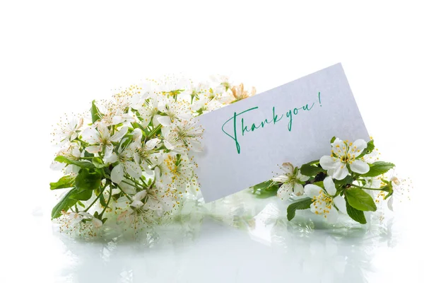 Thank you card and blooming spring branch with flowers — Stock Photo, Image