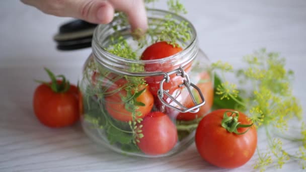 Tomat alami dengan rempah-rempah disiapkan untuk konservasi — Stok Video