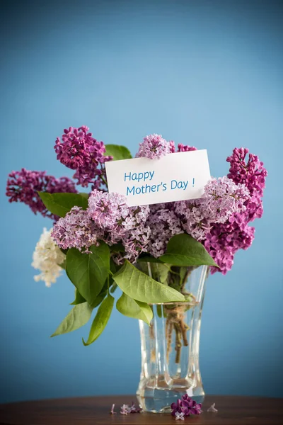Strauß Verschiedener Blühender Frühlingsflieder Einer Vase Isoliert Auf Blauem Hintergrund — Stockfoto