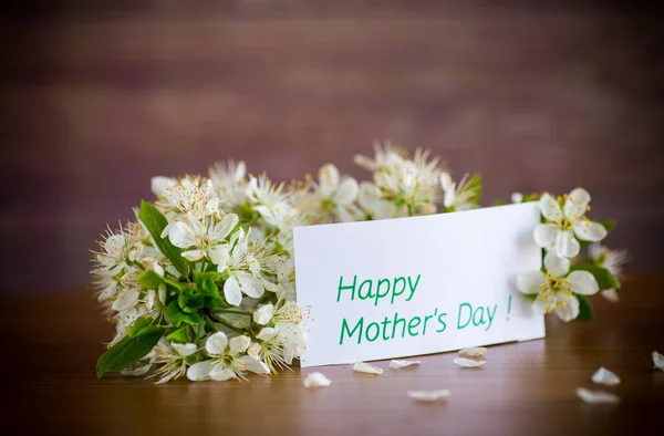 Wenskaart Voor Moeder Bloeiende Lentetak Met Bloemen Houten Achtergrond — Stockfoto