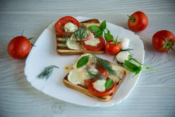 Pain Grillé Chaud Avec Mozzarella Tomates Dans Une Assiette Sur — Photo