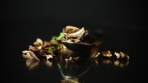 Gedroogde eetbare paddenstoelen uit het bos geïsoleerd op zwart — Stockvideo