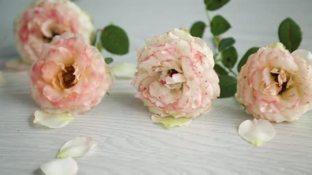 Strauß Schöner Rosen Auf Einem Holztisch — Stockvideo