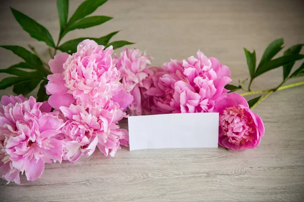 Several Branches Blooming Pink Peonies Wooden Background — Stock Photo, Image