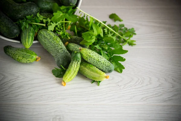 Verse Biologische Komkommers Met Kruiden Een Houten Tafel — Stockfoto