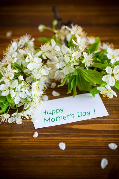 Tarjeta de felicitación para la madre y la rama de primavera floreciente con flores — Foto de Stock