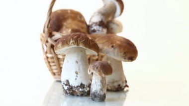 Sepette toplanmış taze orman mantarları.