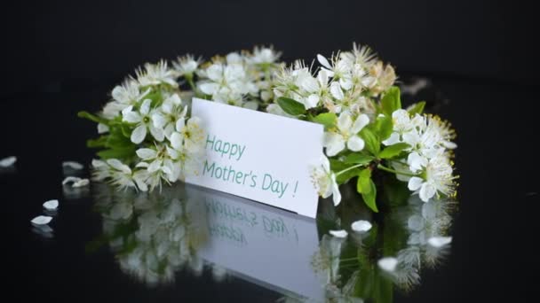 Ευχετήρια κάρτα για τη μητέρα και ανθισμένο ανοιξιάτικο κλαδί με λουλούδια — Αρχείο Βίντεο