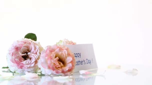 Букет красивих троянд ізольований на білому — стокове відео