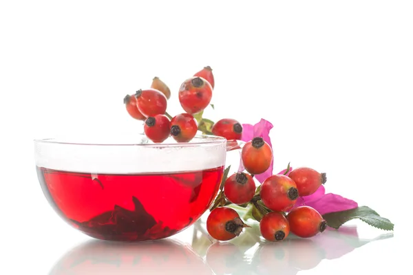 Tea with rosehip — Stock Photo, Image