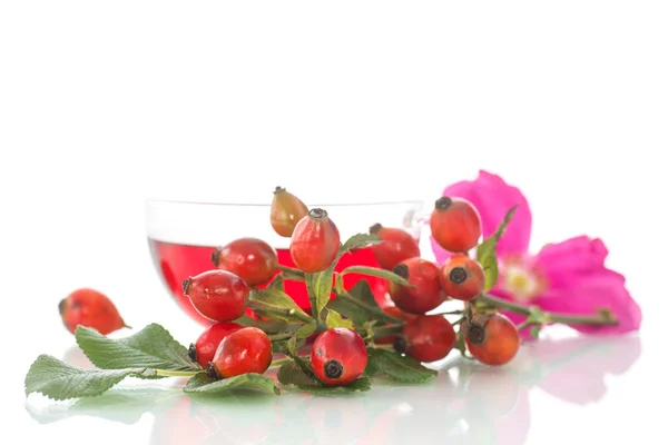 Tea with rosehip — Stock Photo, Image