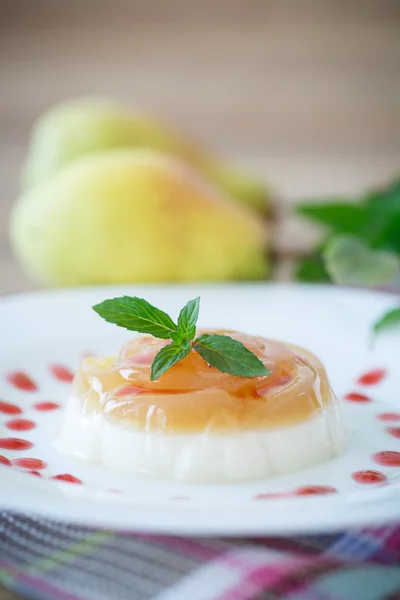 Zuivel dessert panna cotta — Stockfoto