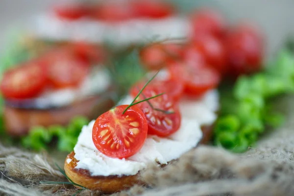 Toast with cheese and cherry tomatoes — Stock Photo, Image
