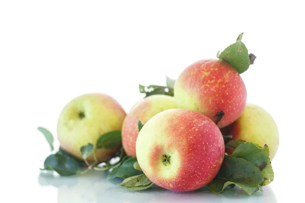 Świeże jabłka — Zdjęcie stockowe