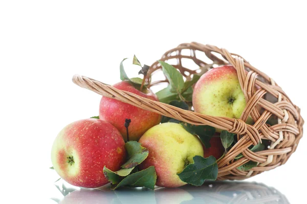 Fresh apples — Stock Photo, Image