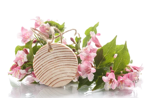 Boeket van roze bloemen — Stockfoto