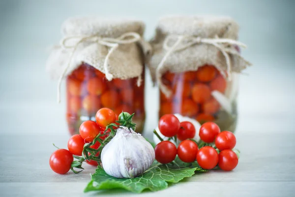 Konzervované rajčata — Stock fotografie