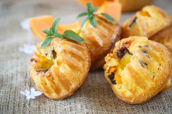 Pumpkin muffins — Stock Photo, Image