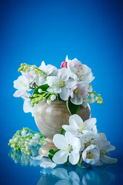 Härliga blommor av äppelträd — Stockfoto