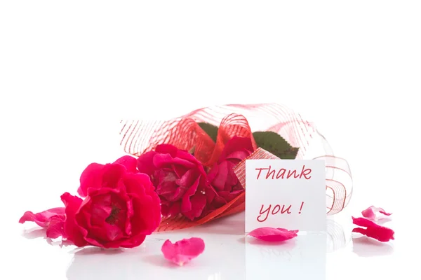 Rose red with gratitude — Stock Photo, Image