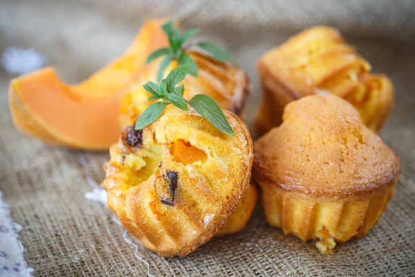 Pumpkin muffins — Stock Photo, Image