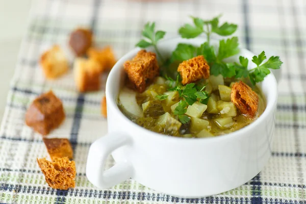 Sopa de verduras con pepinos en escabeche —  Fotos de Stock