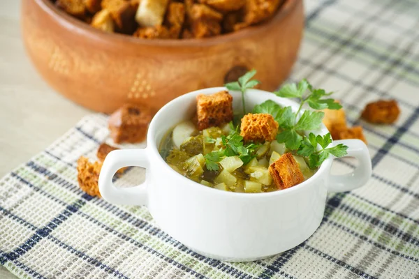 Sopa de verduras con pepinos en escabeche — Foto de Stock