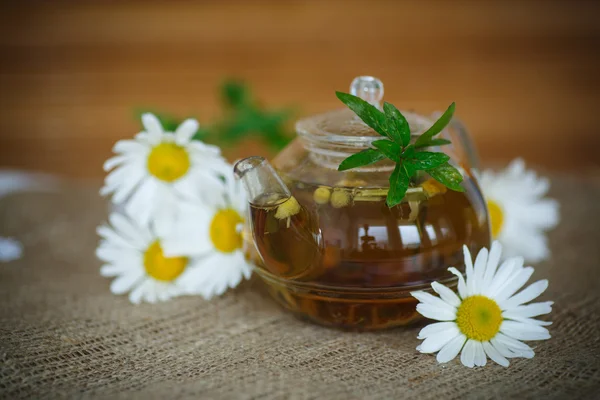 Chamomile tea — Stock Photo, Image