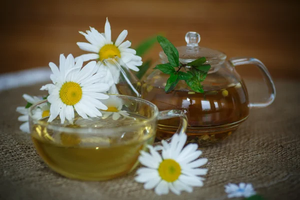 Té de manzanilla — Foto de Stock