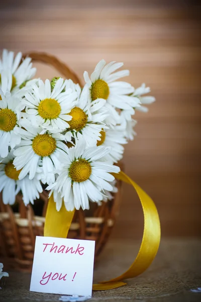 Bellissimo bouquet di margherite bianche — Foto Stock